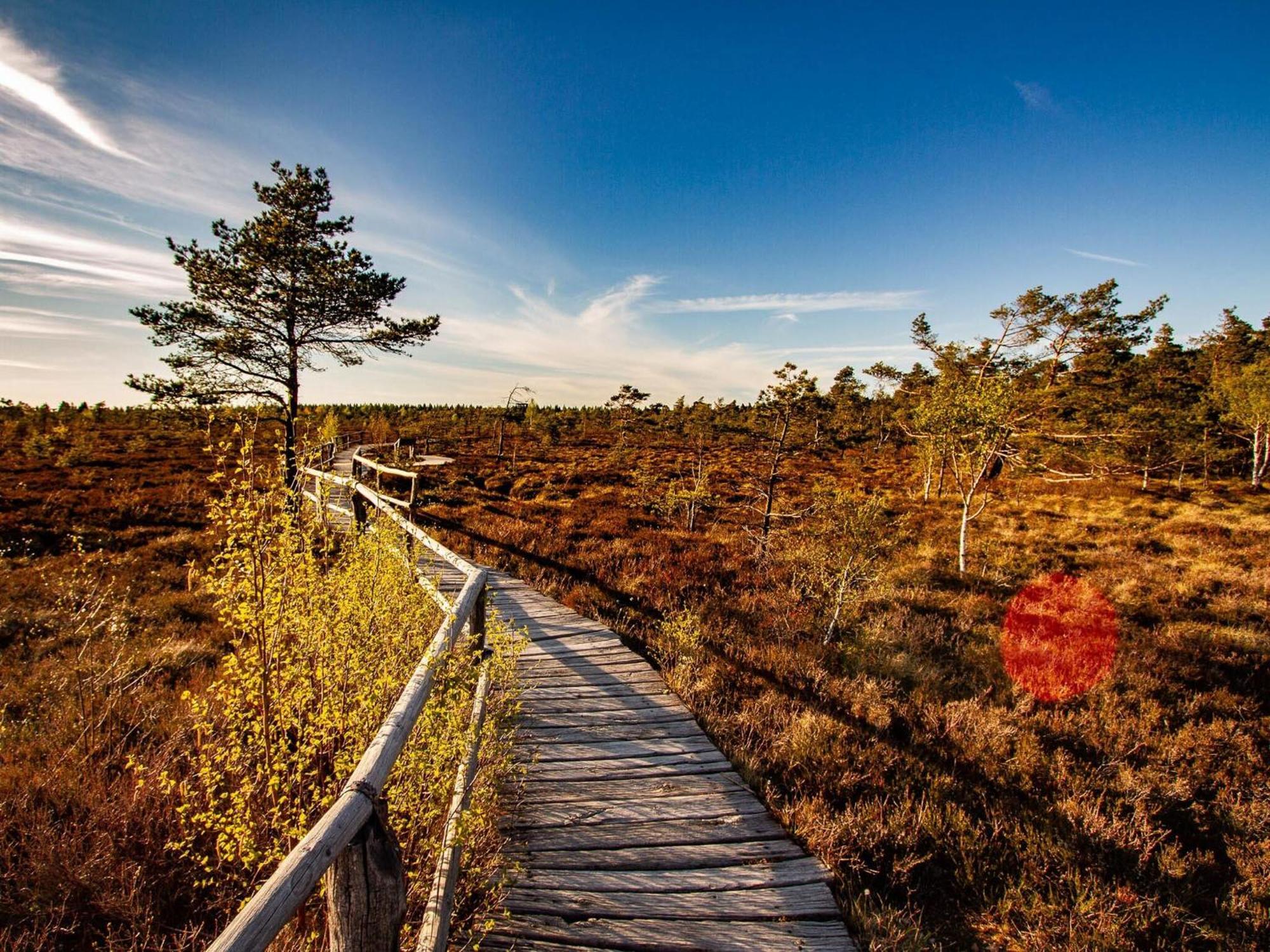 Feriendorf Wasserkuppe Abtsroda Екстер'єр фото